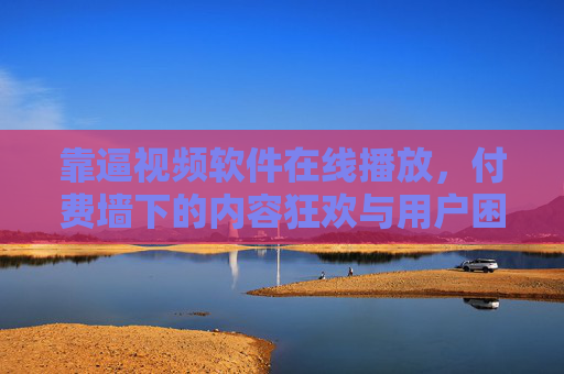 靠逼视频软件在线播放,付费墙下的内容狂欢与用户困境,狂欢与用户困境 靠逼视频软件在线播放,付费墙下的内容狂欢与用户困境,狂欢与用户困境
