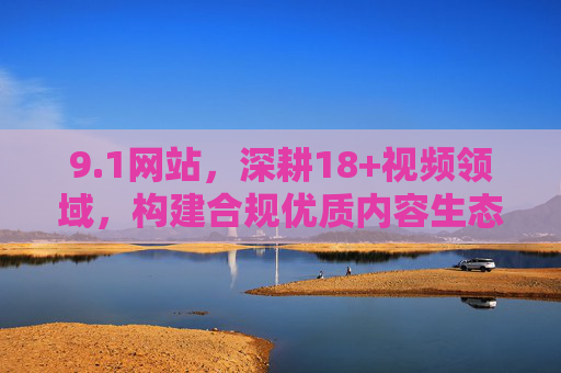 9.1网站，深耕18+视频领域，构建合规优质内容生态，1网站深耕18+视频 构建合规优质内容生态
