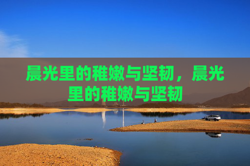 晨光里的稚嫩与坚韧,晨光里的稚嫩与坚韧 晨光里的稚嫩与坚韧,晨光里的稚嫩与坚韧