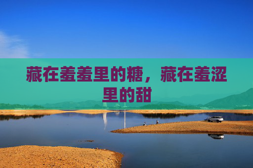 藏在羞羞里的糖，藏在羞涩里的甜