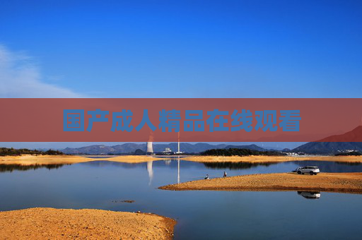 国产成人精品在线观看