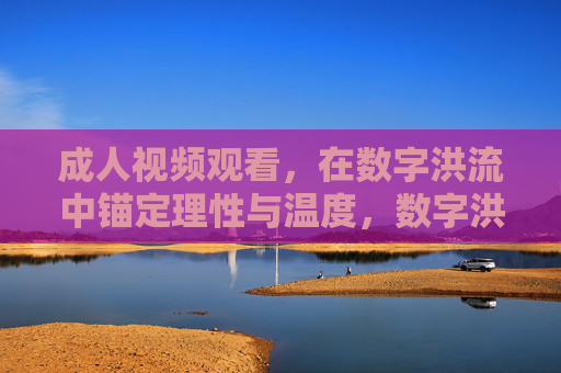 成人视频观看，在数字洪流中锚定理性与温度，数字洪流下的成人视频，理性与温度的锚点