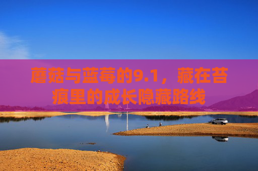 蘑菇与蓝莓的9.1,藏在苔痕里的成长隐藏路线 蘑菇与蓝莓的9.1,藏在苔痕里的成长隐藏路线