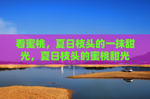 看蜜桃,夏日枝头的一抹甜光,夏日枝头的蜜桃甜光 看蜜桃,夏日枝头的一抹甜光,夏日枝头的蜜桃甜光
