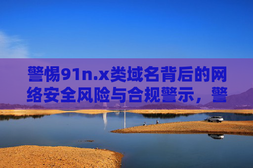 警惕91n.x类域名背后的网络安全风险与合规警示,警惕91n.x类域名背后的网络安全风险与合规警示 警惕91n.x类域名背后的网络安全风险与合规警示,警惕91n.x类域名背后的网络安全风险与合规警示