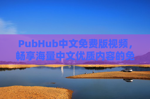 PubHub中文免费版视频，畅享海量中文优质内容的免费盛宴，PubHub中文免费版视频，海量中文优质内容免费盛宴