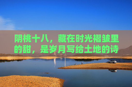 阴桃十八,藏在时光褶皱里的甜,是岁月写给土地的诗,阴桃十八,时光褶皱里的甜诗 阴桃十八,藏在时光褶皱里的甜,是岁月写给土地的诗,阴桃十八,时光褶皱里的甜诗