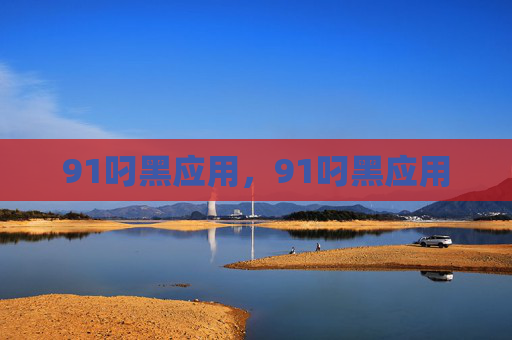91叼黑应用，91叼黑应用