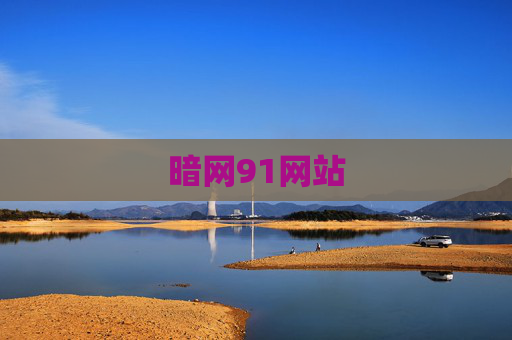 暗网91网站