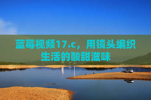 蓝莓视频17.c,用镜头编织生活的酸甜滋味 蓝莓视频17.c,用镜头编织生活的酸甜滋味