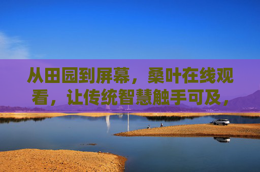 从田园到屏幕，桑叶在线观看，让传统智慧触手可及，从田园到屏幕，桑叶在线，传统智慧触手可及