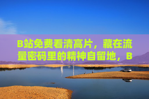 B站免费看清高片，藏在流量密码里的精神自留地，B站，流量密码里的免费高清片精神自留地