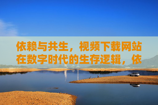 依赖与共生,视频下载网站在数字时代的生存逻辑,依赖与共生,视频下载网站的数字时代生存逻辑 依赖与共生,视频下载网站在数字时代的生存逻辑,依赖与共生,视频下载网站的数字时代生存逻辑