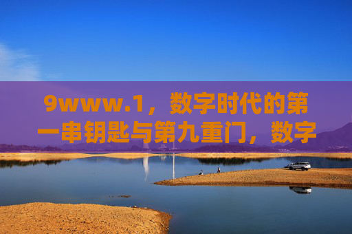 9www.1，数字时代的第一串钥匙与第九重门，数字时代，第一钥启第九重门