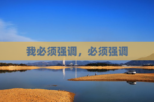 我必须强调,必须强调 我必须强调,必须强调
