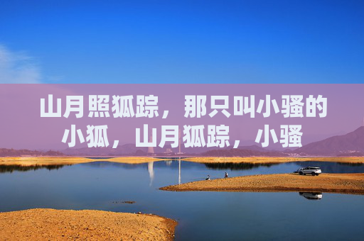 山月照狐踪，那只叫小骚的小狐，山月狐踪，小骚