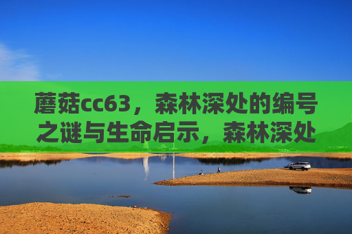 蘑菇cc63,森林深处的编号之谜与生命启示,森林深处的蘑菇cc63,编号之谜与生命启示 蘑菇cc63,森林深处的编号之谜与生命启示,森林深处的蘑菇cc63,编号之谜与生命启示