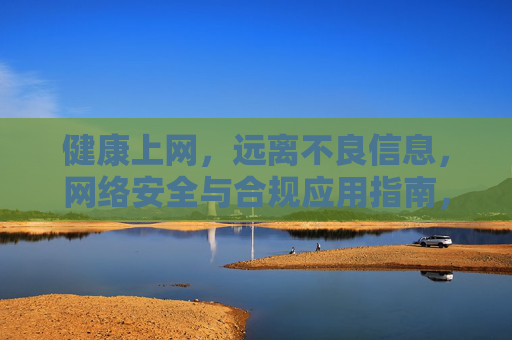 健康上网,远离不良信息,网络安全与合规应用指南,健康上网与网络安全合规指南 健康上网,远离不良信息,网络安全与合规应用指南,健康上网与网络安全合规指南