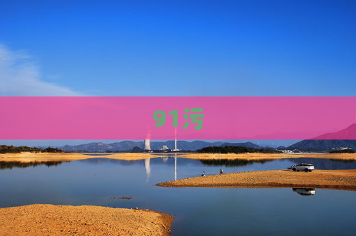 91污 91污