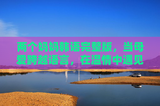 两个妈妈韩语完整版,当母爱跨越语言,在温情中遇见成长,母爱跨越语言,两个妈妈的温情成长 两个妈妈韩语完整版,当母爱跨越语言,在温情中遇见成长,母爱跨越语言,两个妈妈的温情成长