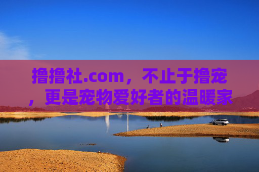 撸撸社.com，不止于撸宠，更是宠物爱好者的温暖家园，撸撸社.com，不止撸宠，更是宠物爱好者的温暖家园