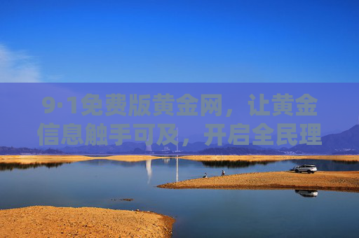 9·1免费版黄金网，让黄金信息触手可及，开启全民理财新入口，9·1免费版黄金网，全民理财新入口