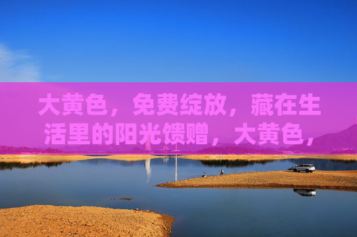 大黄色,免费绽放,藏在生活里的阳光馈赠,大黄色,生活里的免费阳光馈赠 大黄色,免费绽放,藏在生活里的阳光馈赠,大黄色,生活里的免费阳光馈赠