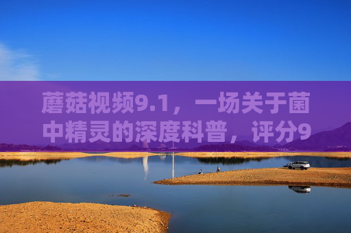 蘑菇视频9.1，一场关于菌中精灵的深度科普，评分9.1背后的自然与人文密码，蘑菇视频9.1，菌中精灵的自然与人文密码
