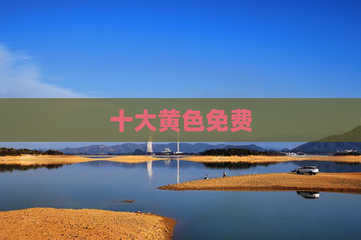 十大黄色免费 十大黄色免费