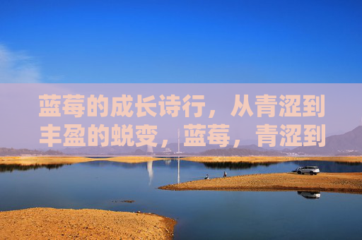 蓝莓的成长诗行,从青涩到丰盈的蜕变,蓝莓,青涩到丰盈的成长诗行 蓝莓的成长诗行,从青涩到丰盈的蜕变,蓝莓,青涩到丰盈的成长诗行