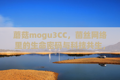 蘑菇mogu3CC，菌丝网络里的生命密码与科技共生，蘑菇菌丝网络，生命密码与科技共生