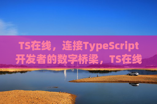 TS在线，连接TypeScript开发者的数字桥梁，TS在线，TypeScript开发者的数字桥梁