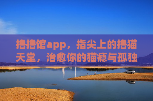 撸撸馆app,指尖上的撸猫天堂,治愈你的猫瘾与孤独,指尖撸猫天堂,治愈猫瘾与孤独 撸撸馆app,指尖上的撸猫天堂,治愈你的猫瘾与孤独,指尖撸猫天堂,治愈猫瘾与孤独