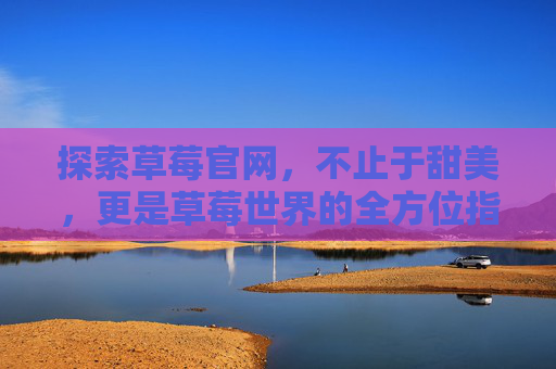 探索草莓官网,不止于甜美,更是草莓世界的全方位指南,探索草莓世界,不止于甜美的全方位指南 探索草莓官网,不止于甜美,更是草莓世界的全方位指南,探索草莓世界,不止于甜美的全方位指南