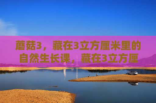 蘑菇3,藏在3立方厘米里的自然生长课,藏在3立方厘米里的蘑菇自然生长课 蘑菇3,藏在3立方厘米里的自然生长课,藏在3立方厘米里的蘑菇自然生长课