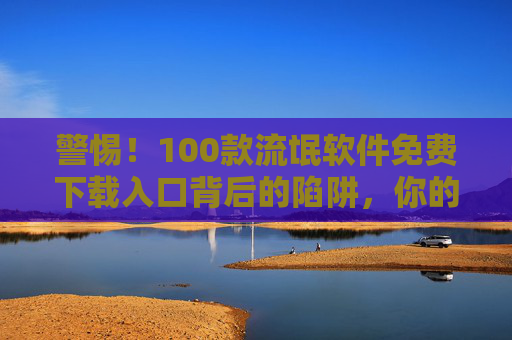 警惕！100款流氓软件免费下载入口背后的陷阱，你的隐私与安全正被觊觎，警惕！100款流氓软件免费下载入口，隐私安全正被觊觎的陷阱