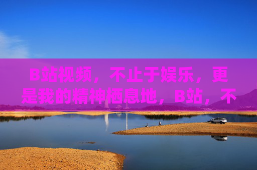 B站视频，不止于娱乐，更是我的精神栖息地，B站，不止娱乐，更是我的精神栖息地