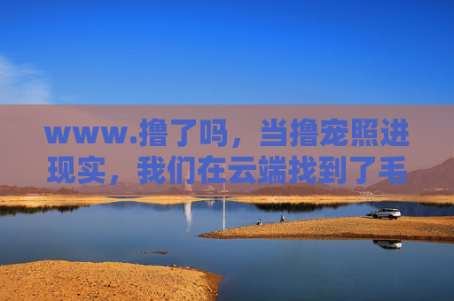 www.撸了吗，当撸宠照进现实，我们在云端找到了毛茸茸的治愈，撸宠照进现实，云端毛茸茸治愈