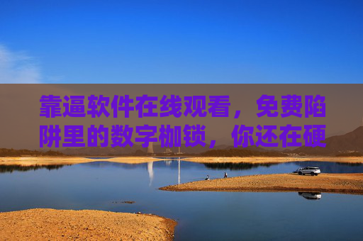 靠逼软件在线观看,免费陷阱里的数字枷锁,你还在硬扛吗?免费陷阱,靠逼软件的数字枷锁,别硬扛! 靠逼软件在线观看,免费陷阱里的数字枷锁,你还在硬扛吗?免费陷阱,靠逼软件的数字枷锁,别硬扛!