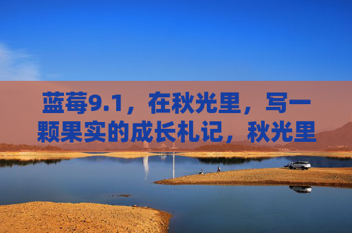 蓝莓9.1，在秋光里，写一颗果实的成长札记，秋光里，一颗蓝莓的成长札记
