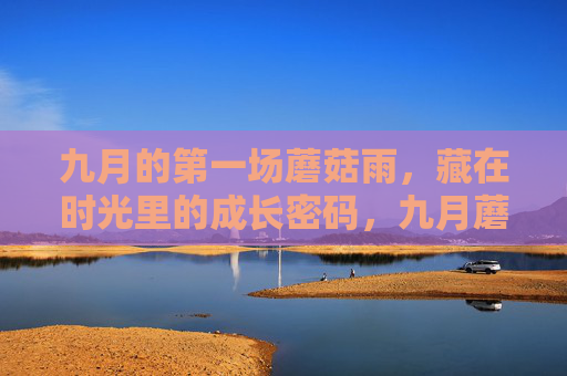 九月的第一场蘑菇雨，藏在时光里的成长密码，九月蘑菇雨，时光里的成长密码
