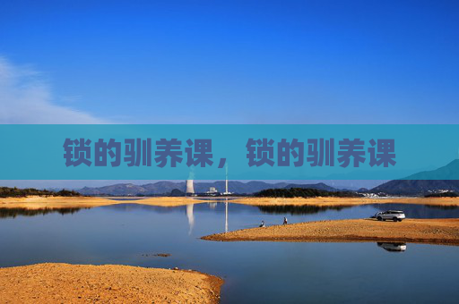 锁的驯养课，锁的驯养课