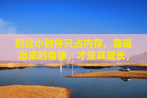 别让小软件只占内存,靠逼出来的自律,才是真成长,别让软件空耗内存,自律逼出真成长 别让小软件只占内存,靠逼出来的自律,才是真成长,别让软件空耗内存,自律逼出真成长