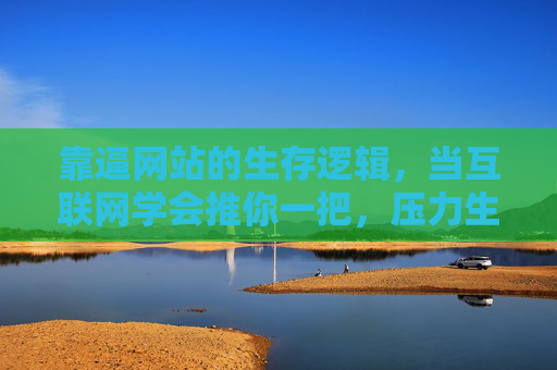 靠逼网站的生存逻辑,当互联网学会推你一把,压力生存与互联网助推,网站的被推逻辑 靠逼网站的生存逻辑,当互联网学会推你一把,压力生存与互联网助推,网站的被推逻辑