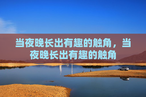 当夜晚长出有趣的触角,当夜晚长出有趣的触角 当夜晚长出有趣的触角,当夜晚长出有趣的触角