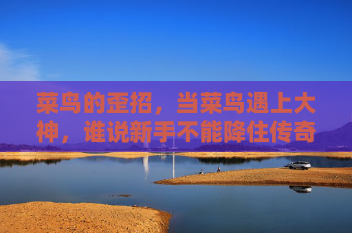 菜鸟的歪招,当菜鸟遇上大神,谁说新手不能降住传奇?菜鸟歪招降大神 菜鸟的歪招,当菜鸟遇上大神,谁说新手不能降住传奇?菜鸟歪招降大神