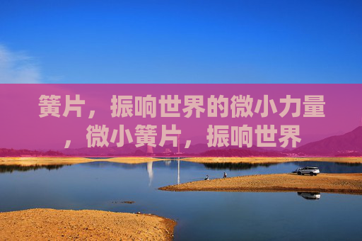 簧片，振响世界的微小力量，微小簧片，振响世界