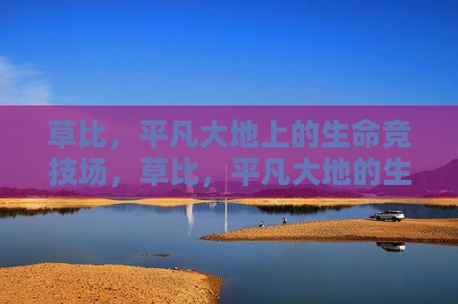 草比,平凡大地上的生命竞技场,草比,平凡大地的生命竞技场 草比,平凡大地上的生命竞技场,草比,平凡大地的生命竞技场