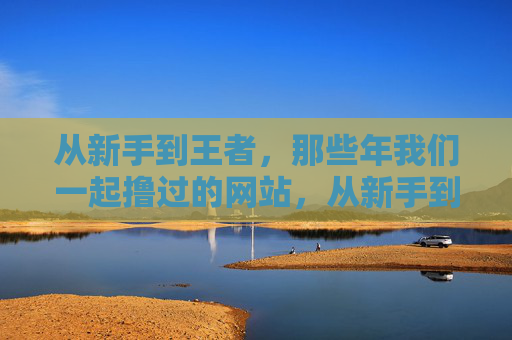 从新手到王者,那些年我们一起撸过的网站,从新手到王者,那些年我们一起撸过的网站 从新手到王者,那些年我们一起撸过的网站,从新手到王者,那些年我们一起撸过的网站