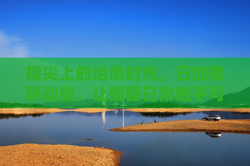 指尖上的治愈时光,日加撸移动版,让撸猫日常触手可及,日加撸移动版,指尖治愈,撸猫日常触手可及 指尖上的治愈时光,日加撸移动版,让撸猫日常触手可及,日加撸移动版,指尖治愈,撸猫日常触手可及